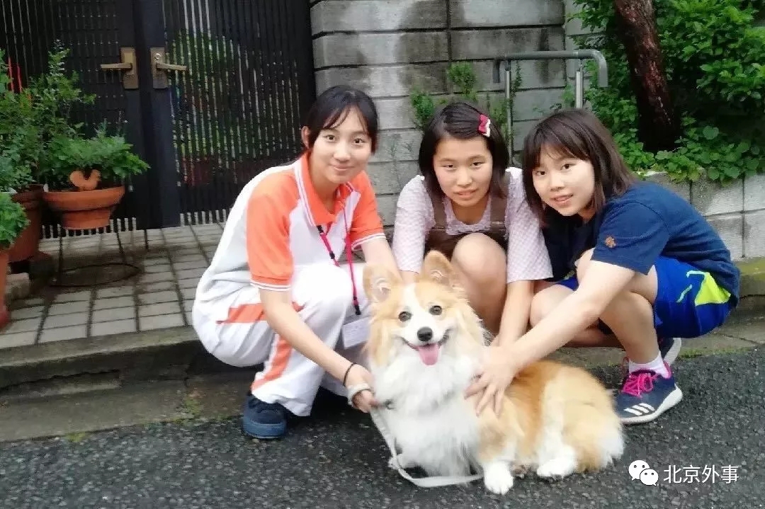 這一群少年，叫做“中日小大使”-6.webp.jpg